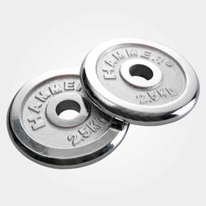 Dumbbell Weight Plates Pair of 2.5 KG (Silver Color)